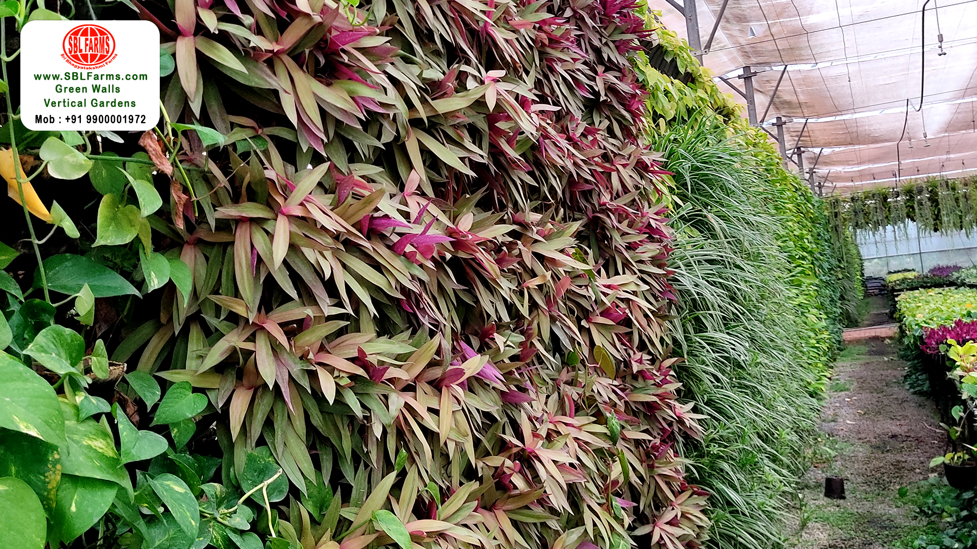 Sbl Farms Green walls and Living walls, Vertical Garden, Bio Curtains,Professionals in Vertical Garden in Bangalore